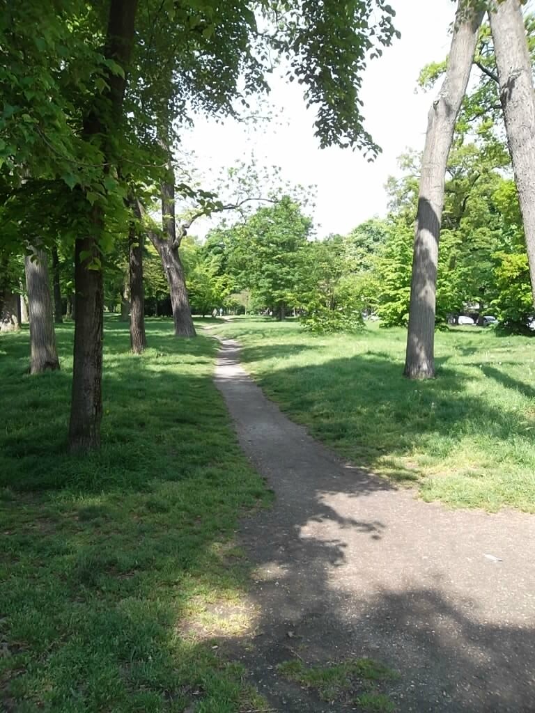 bois de boulogne les prostituées