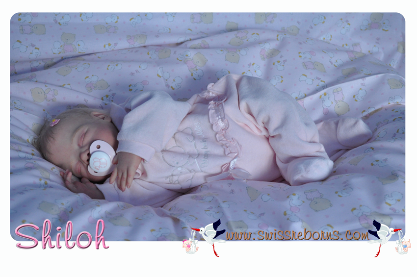 DSC_0001_modifie__1