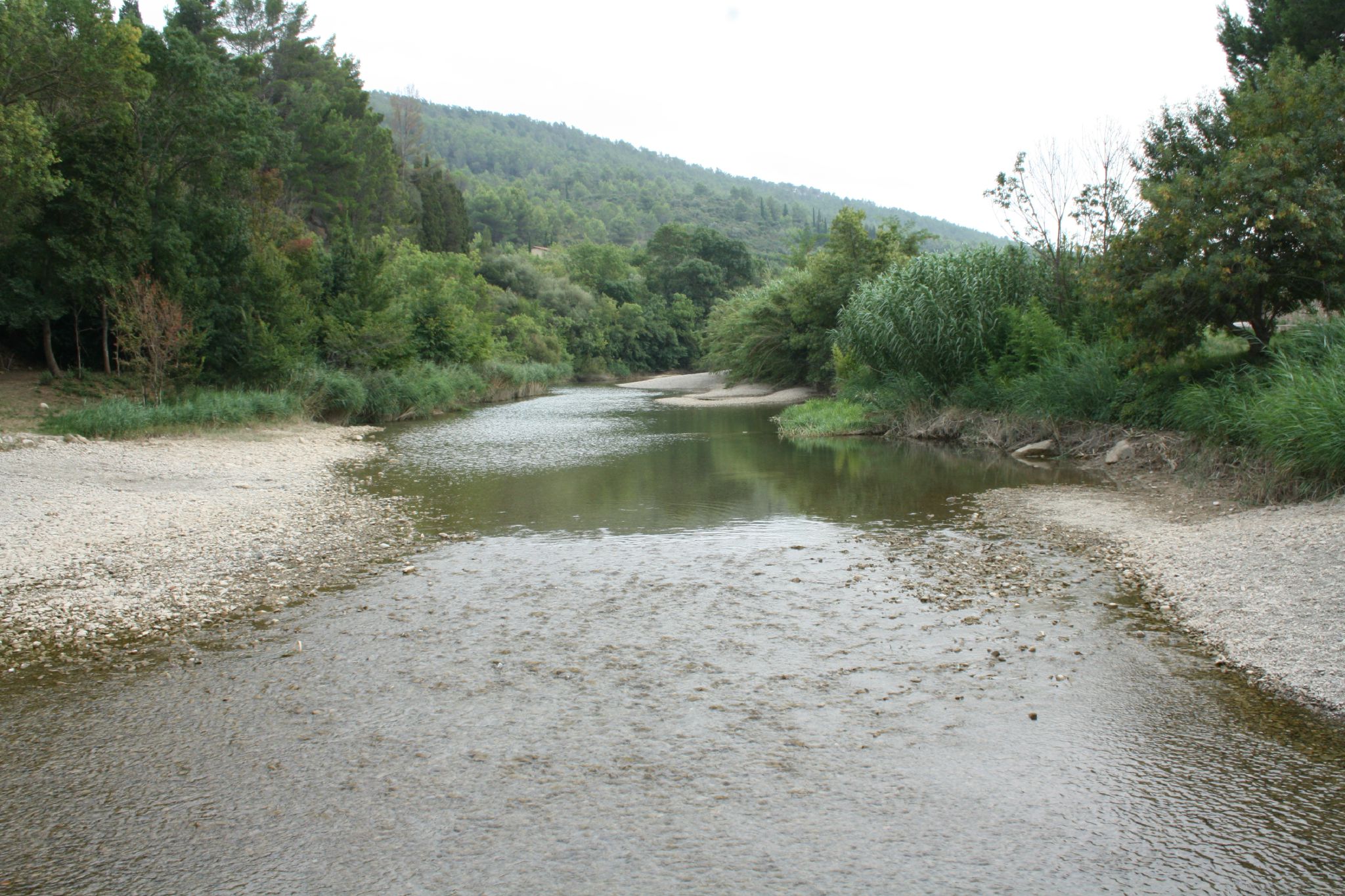 Lagrasse 131