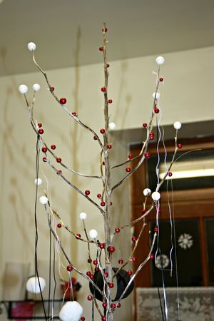 IMG_9870