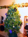sapin