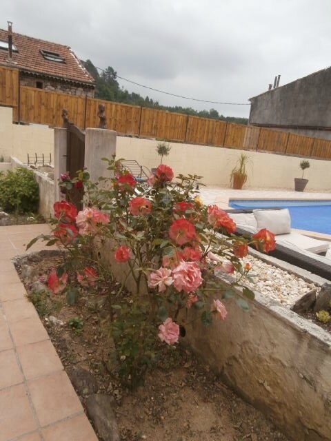 P5030034