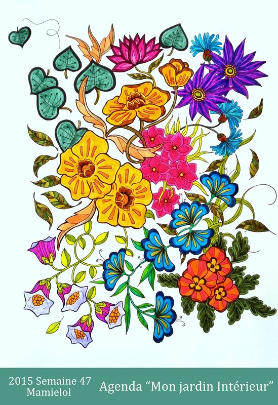 Mon Jardin Secret-Semaine 47