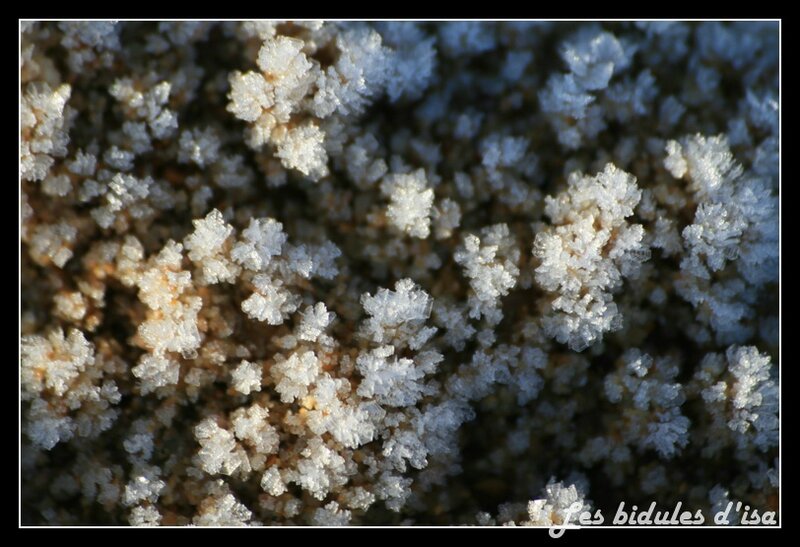 givre (2)