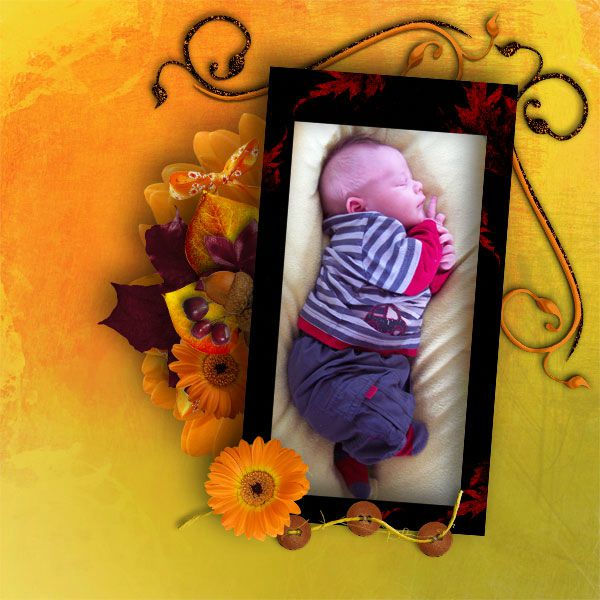 Les pages d'OCTOBRE 2012 - Page 3 79824145_o