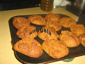 IMG_0001 copie