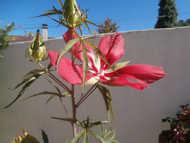 P7210001