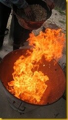 IMG_8602 IMG_8602