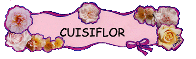 logo_cuisiflor