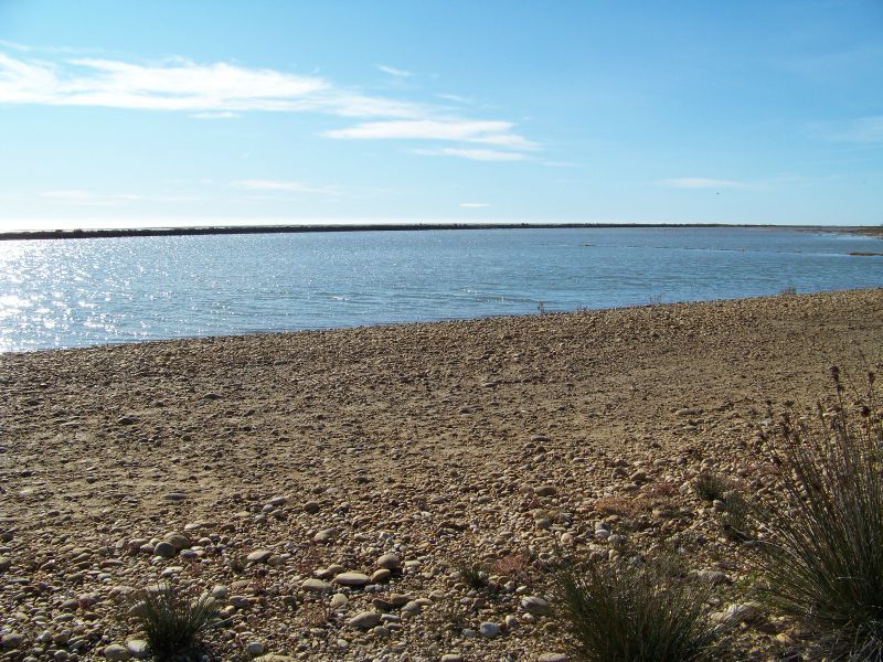 1er janvier 2012 Camargue (6)