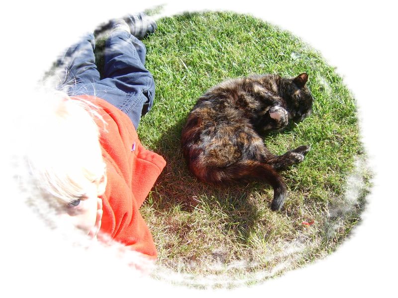 bol chat nostalgie bol chat nostalgie