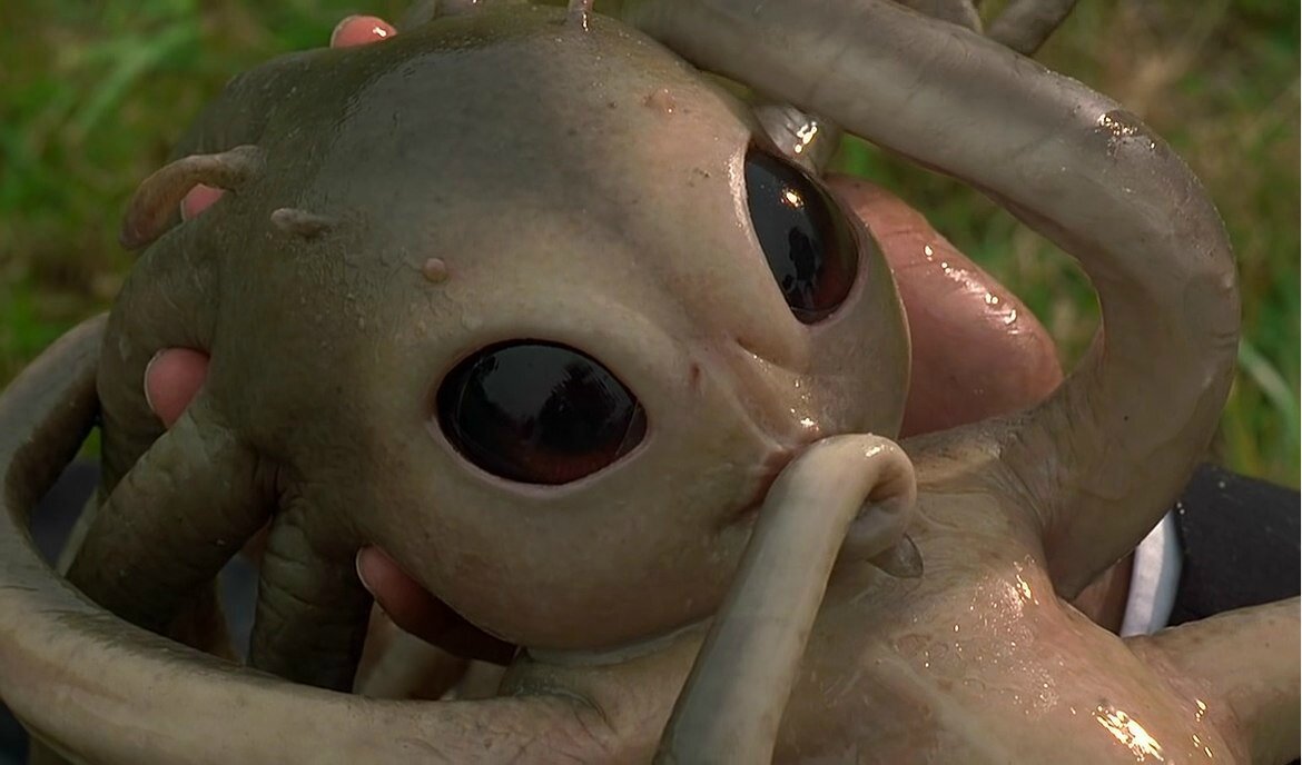 Rencontre extraterrestre streaming