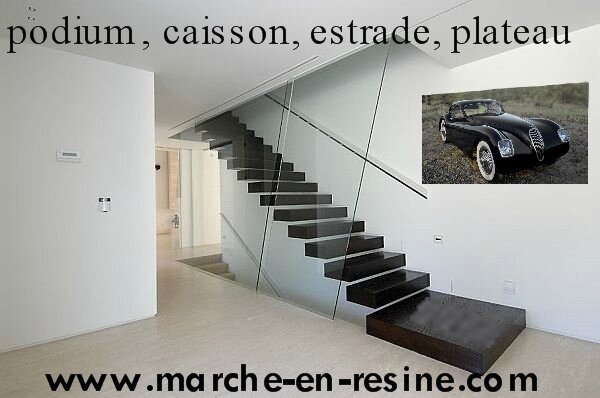 Escalier métallique,escalier double limon,escalier limon central ... Escalier désign Marche