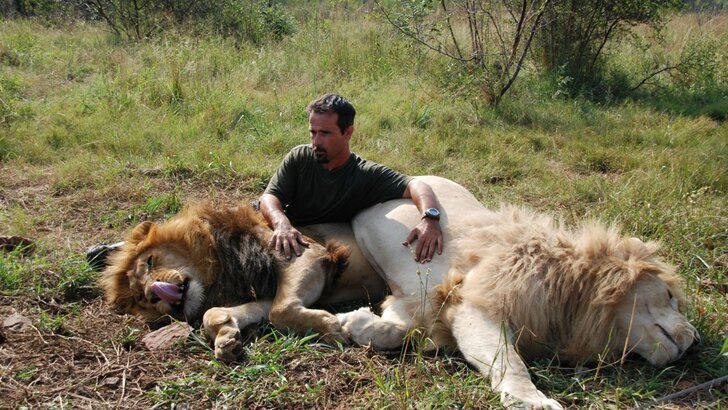 Homme Qui Vit Avec Les Lions KEVIN RICHARDSON - L'HOMME QUI PARLE AUX LIONS - Imagystique
