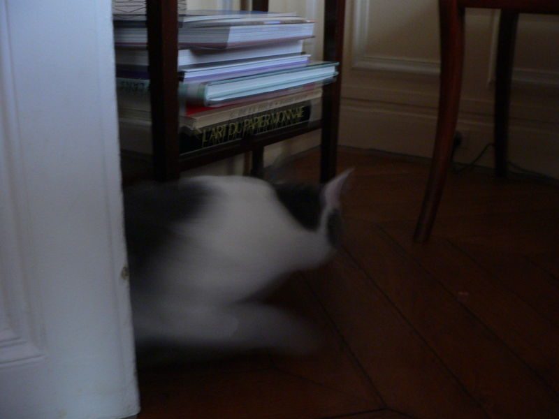 Mon copain est inscrit sur des sites de rencontres