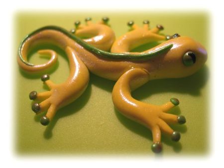 salamandre