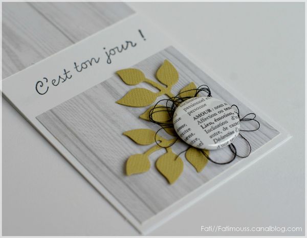 Carte2-zoom