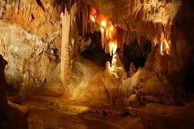 images (7)