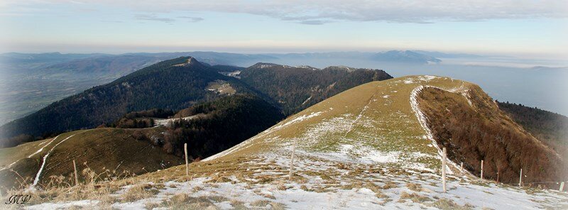 17 11 003 Au Grand Colombier (21) (Copier)