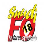 logosnudi-fo18 (2)