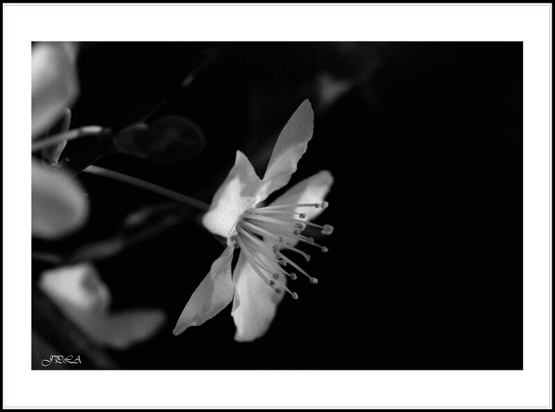 14 03 01 14 02 26 105macro 9002 b