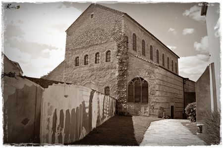 IMG_3826