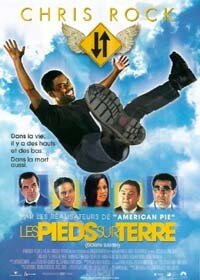 pied_sur_terre_aff