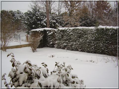neige