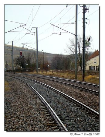 Copie_de_pgn200090207_012
