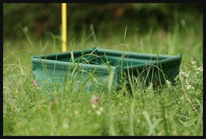 Comment donner les grains en rando 42870163