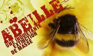 disparition-des-abeilles-en-masse