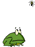 grenouille012