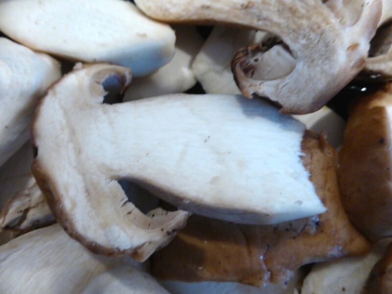 cep02