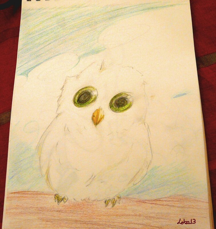 Un chouette hibou
