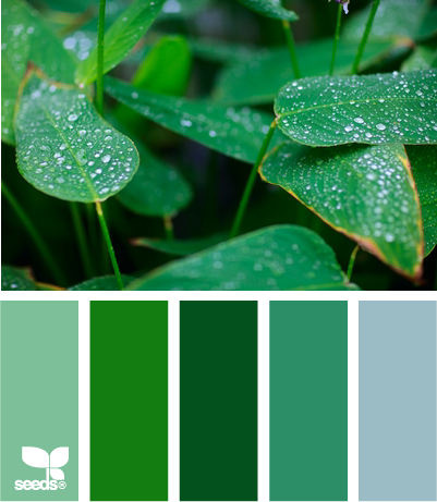 DewGreen