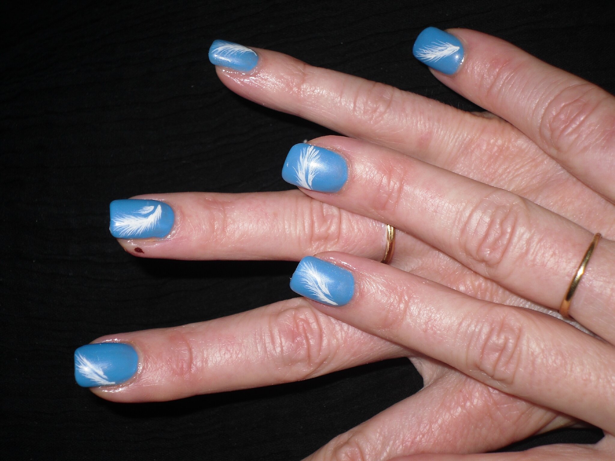 Passionnail Pose dongles en gel Bleu comme le ciel et léger comme une plume ! Qui suis je ?