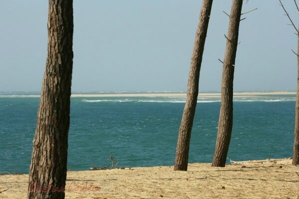 image (4)