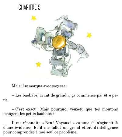 PETITprinceLAURAsantamartaCHAPITRE5