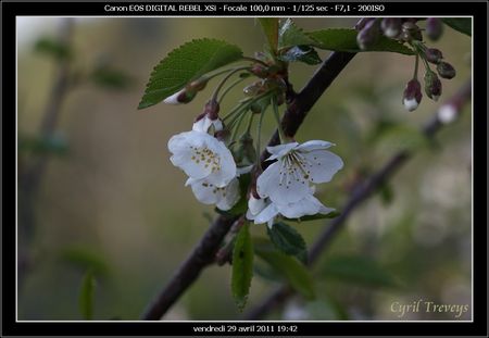 2011_04_29_088