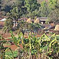 Village Desia
