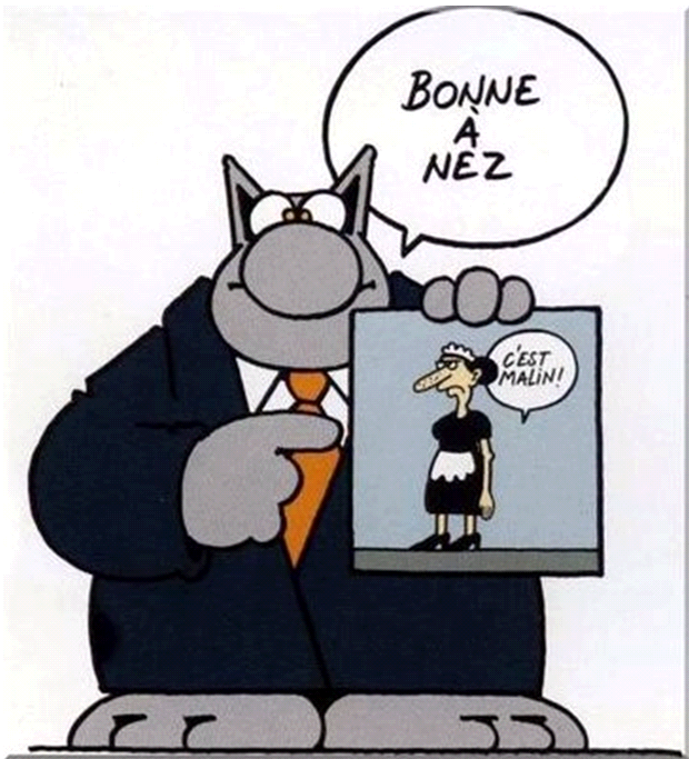 image rigolote zen