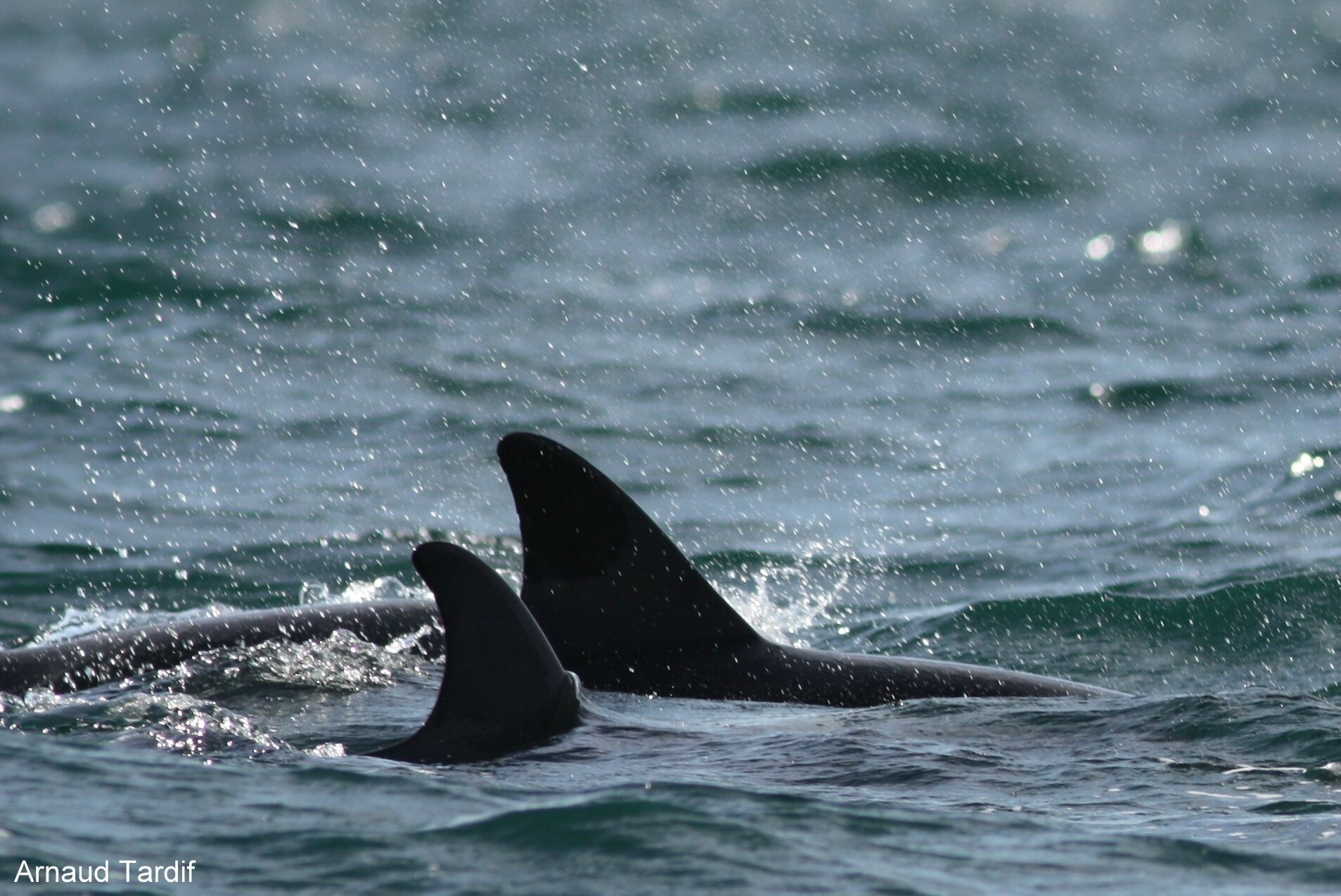 rencontre plouguerneau