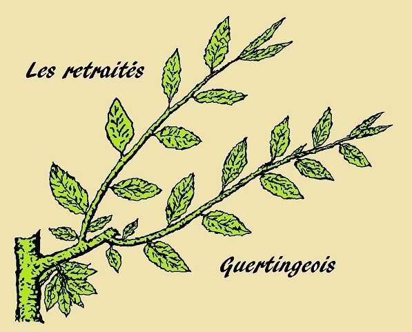 logo petit format