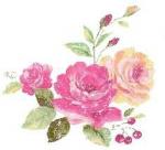 images (31)