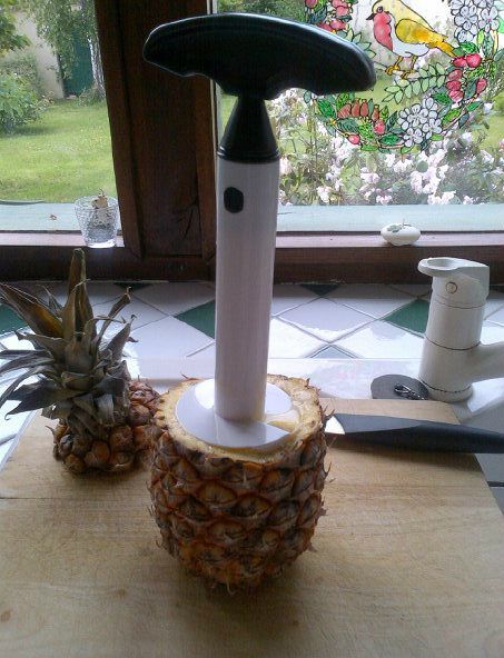 Résultat de recherche d'images pour "eplucheur à ananas"