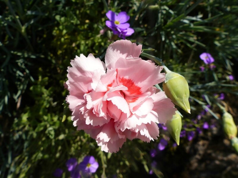 P1040895