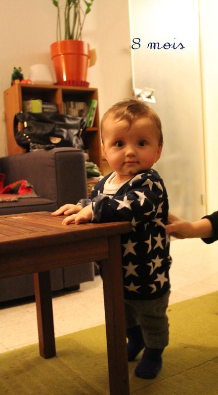 8mois