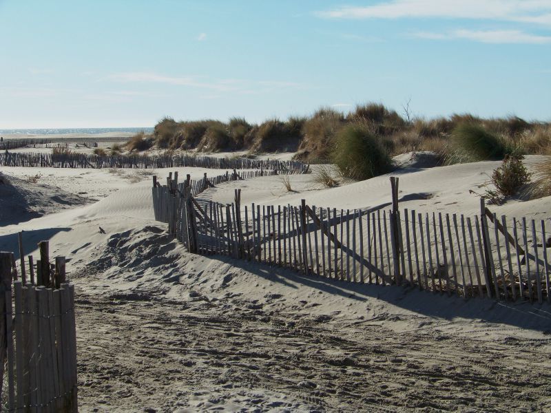 1er janvier 2012 Camargue (4)