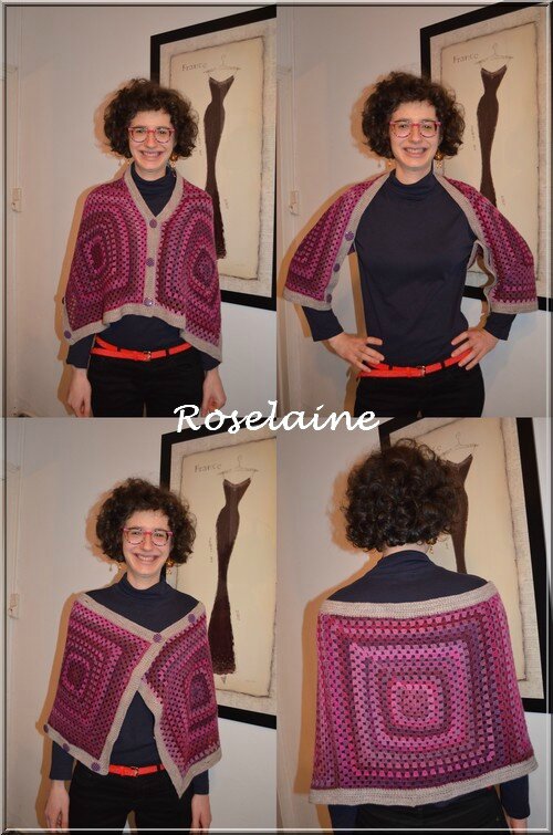 Roselaine298 swap hiver