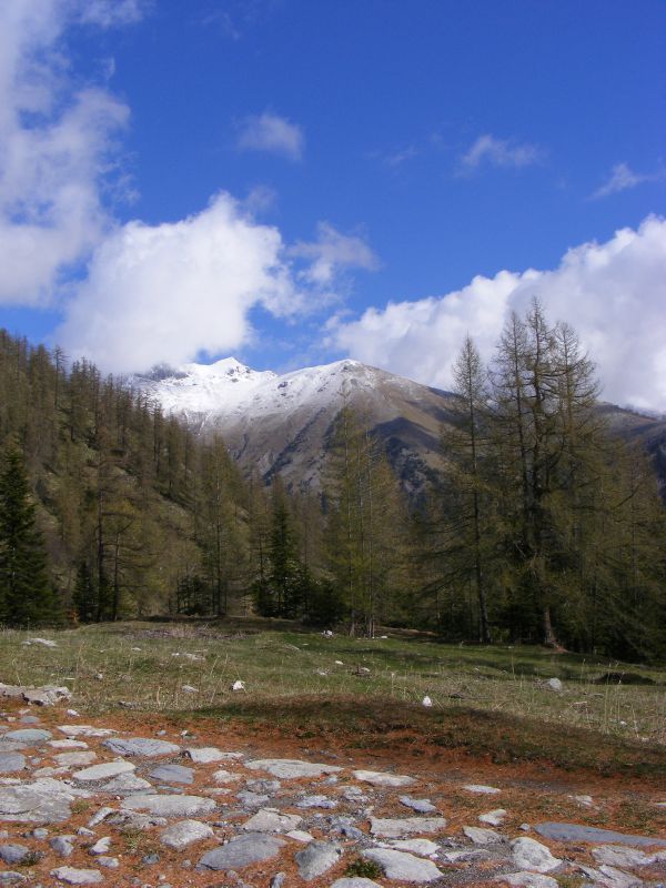 DSCF7035